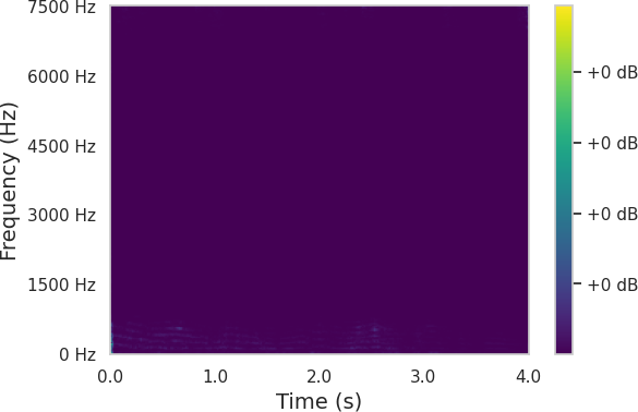 Spectrum 1